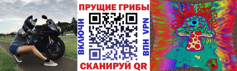 Галлюциногенные грибы Psilocybe  гидра ссылка  Норильск 